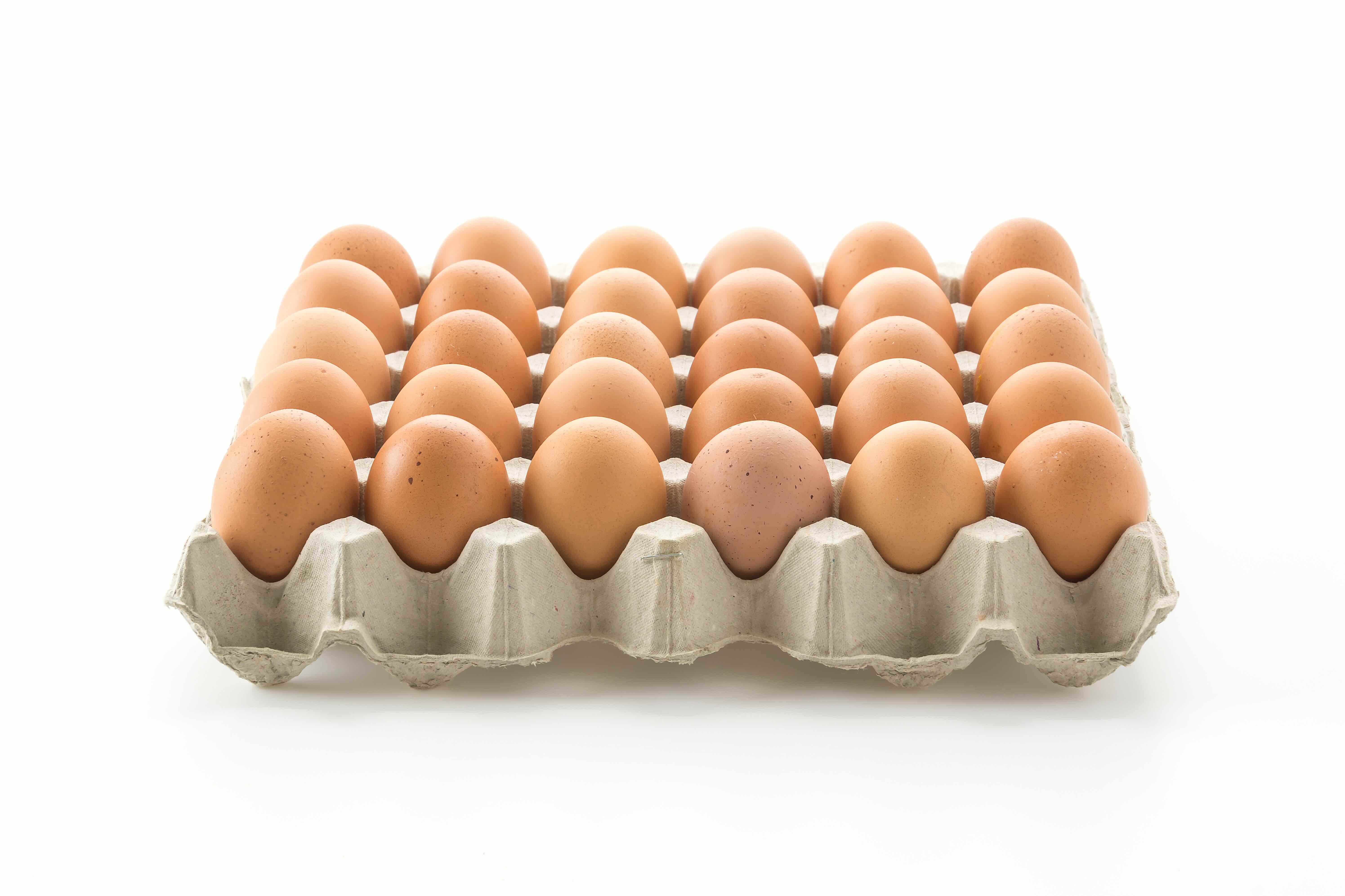 Fresh eggs